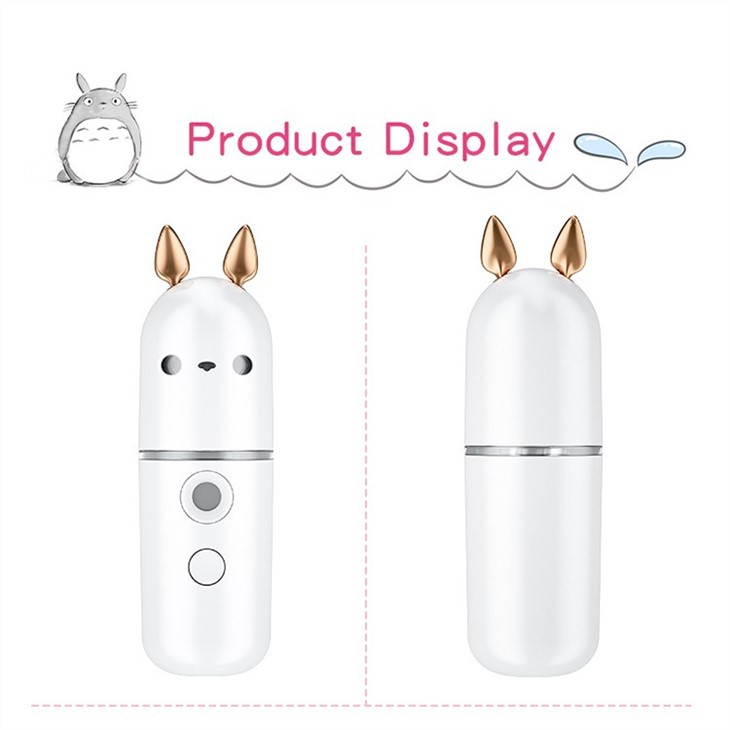 Mini Spray Visage