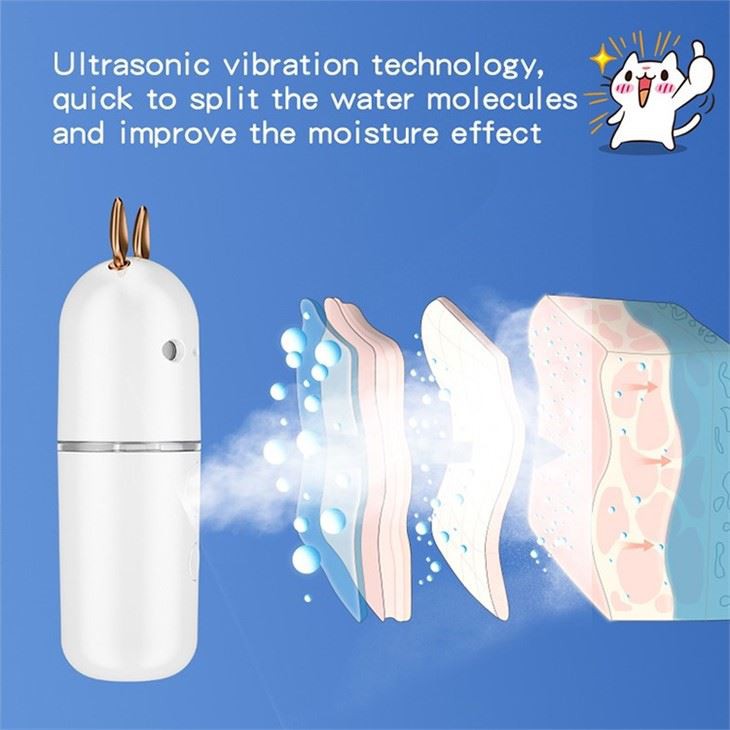 Mini Spray Visage