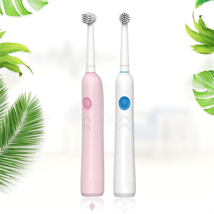 Brosse à dents électrique rotative