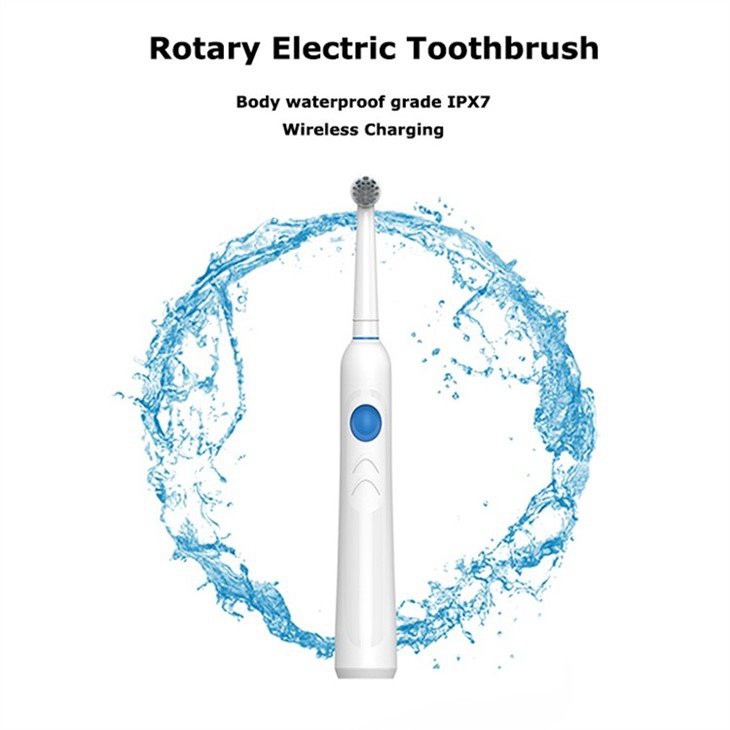 Brosse à dents électrique rotative
