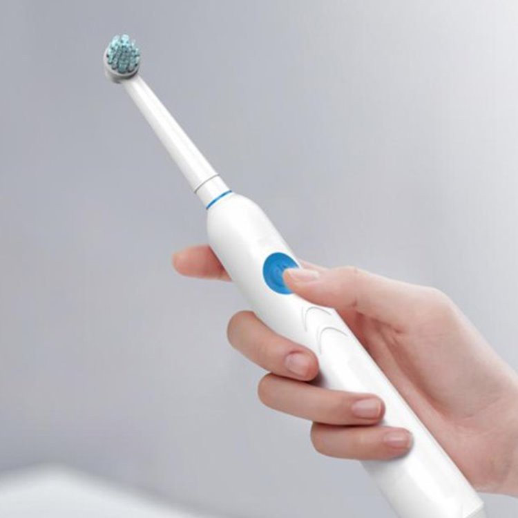 Brosse à dents électrique rotative